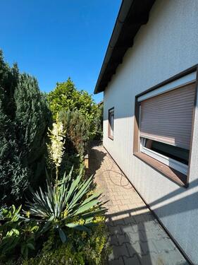 Foto - 7 Zimmer Einfamilienhaus zur Miete in Vilseck