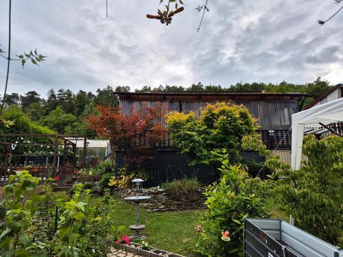 Foto - Pachtgarten in schöner Lage in Eisenach abzugeben