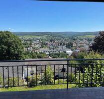 2-Zimmer Panorama-Apartment Erbach Bestlage