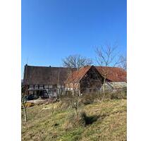 Resthof ländliches Anwesen Bauernhof mit 9ha AckerWeideWald - Vlotho