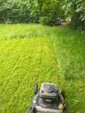 Foto - Garten Grundstück 550m2 - 1.800,00 EUR Kaltmiete, ca.  0,00 m²