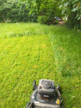 Foto - Garten Grundstück 550m2 - 1.800,00 EUR Kaltmiete, ca.  0,00 m²