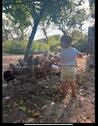 Foto - 