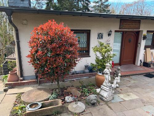 Foto - 3 Zimmer Einfamilienhaus zum Kaufen in Bonn