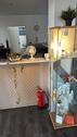 Foto - andere in Bremen
