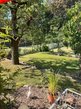 Foto - Doppelhaushälfte in Frankfurt am Main zum Kaufen