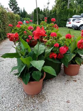 Foto - andere in Nürnberg zur Miete