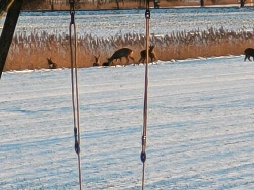 Foto - andere in Dornum zur Miete