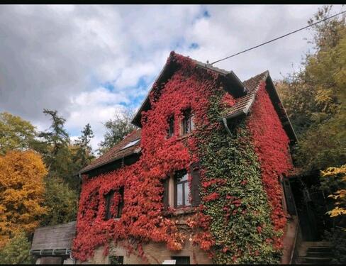 Foto - Einfamilienhaus in der Natur - 125.000,00&nbsp;EUR Kaufpreis, ca.&nbsp; 100,00&nbsp;m&sup2;