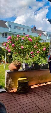 Foto - Maisonettenwohnung in Walsrode zum Kaufen