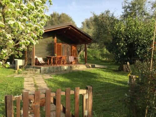 Foto - Urlaub bei Tropea Kalabrien - 250,00 EUR Kaltmiete,
