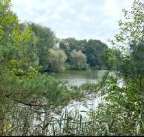 Tolles Haus in Alleinlage mit Teich - Hohnstorf (Elbe)