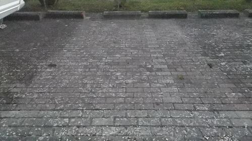 Foto - Stellplatz für Wohnwagen, Außenstellplatz in Groß Düngen