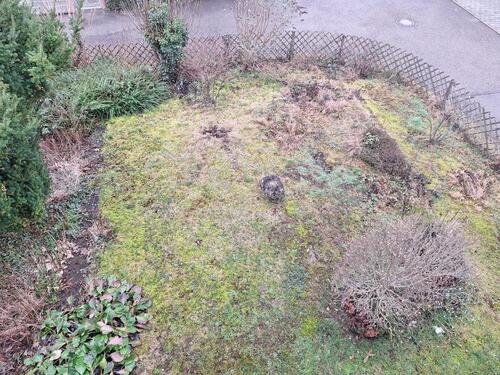 Foto - Doppelhaushälfte in Kuchen zum Kaufen