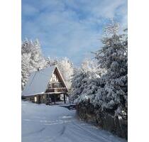 Ferienhaus Finnhütte in Suhl Goldlauter-Geiersberg - Coburg