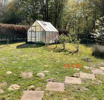 Am So 24.5 Sammelbesichtung Pachtgarten abzugeben in Wellingdorf - Kiel Ellerbek