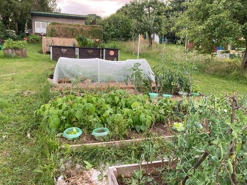 Foto - Grundst&uuml;ck zur Miete in Treffurt