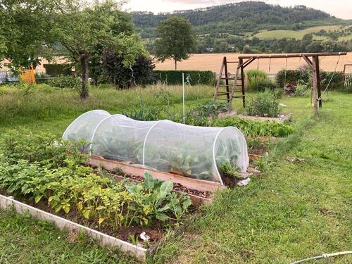 Foto - Grundst&uuml;ck in Treffurt zur Miete