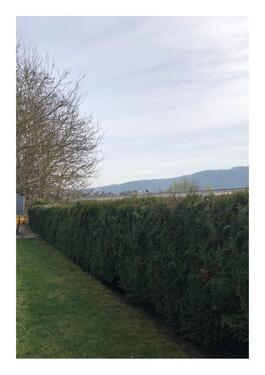 Foto - 4 Zimmer Reihenhaus in Saarbrücken