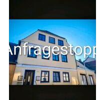 2Zimmer Wohnung & Dachterrasse 550€ Kaltmiete - Schleswig