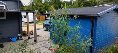 Foto - Einfamilienhaus in Leiningen zum Kaufen