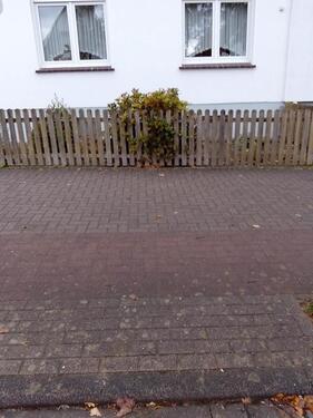 Foto - andere in Walsrode