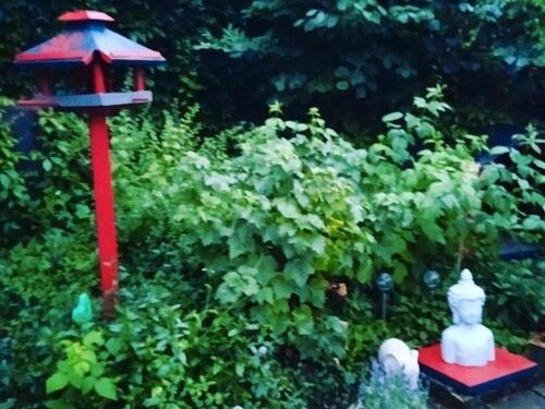 Foto - Einfamilienhaus in Brakel zum Kaufen