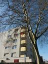 Foto - 3 Zimmer Etagenwohnung in Werne