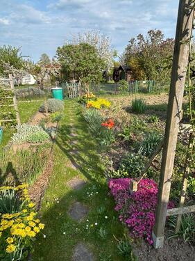 Foto - 266 m2 Schrebergarten Kleingartenverein Paul Hinzer e. V.