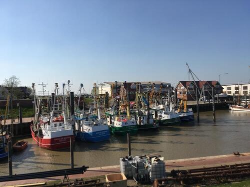 Foto - andere zur Miete in Jemgum