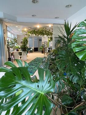 Foto - Raum zur Miete Permanent Make-Up Tattoo