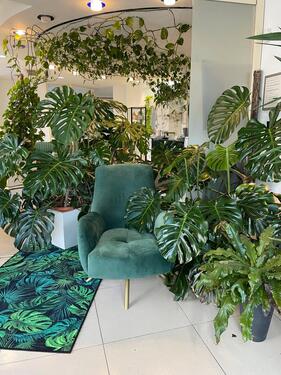 Foto - andere in Berlin