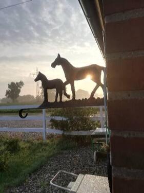 Foto - andere zur Miete in Burgdorf