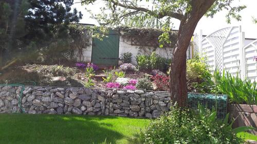 Foto - Einfamilienhaus zum Kaufen in Ingelheim am Rhein