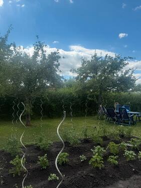 Foto - Grundstück in Erfurt