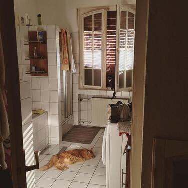 Foto - 4 Zimmer Etagenwohnung in Krefeld