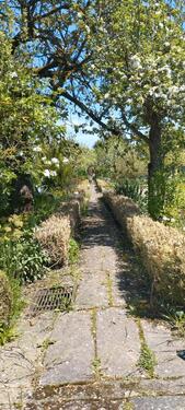 Foto - Grundst&uuml;ck in Mühlhausen (Thüringen)