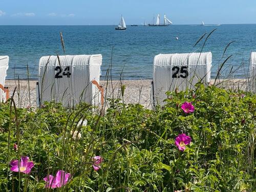 Foto - Fewo Ostsee Schönhagen ruhig strandnah ideal Paare