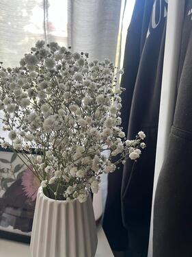 Foto - ❗️ Möbliertes WG-Zimmer verfügbar (Top Lage nähe TU Dortmund) ❗️