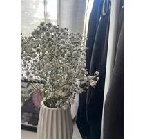 ❗️ Möbliertes WG-Zimmer verfügbar (Top Lage nähe TU Dortmund) ❗️