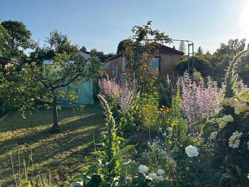 Foto - Idyllischer Pachtgarten - Ihr grünes Paradies in Gera