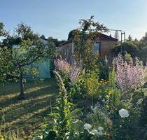 Idyllischer Pachtgarten - Ihr grünes Paradies in Gera