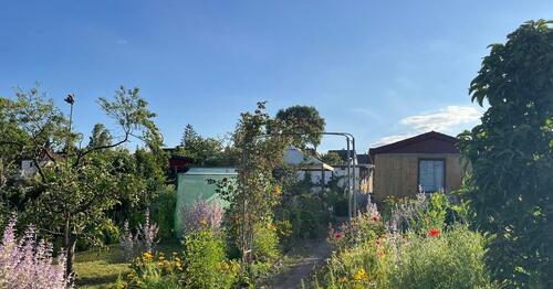 Foto - Grundstück zur Miete in Gera