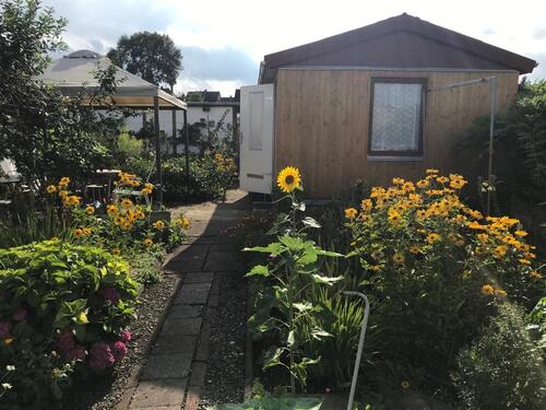 Foto - Grundstück in Gera zur Miete