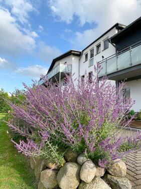 Foto - 4 Zimmer Etagenwohnung zur Miete in Büsum