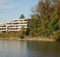 1-Zimmer Wohnung in 79790 Rheinheim, TOP-Rheinlage zu vermieten. - Küssaberg