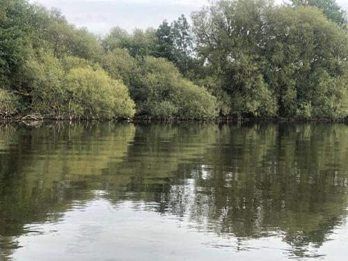 Foto - Ferienbungalow am See in der Uckermark zur Miete