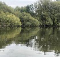 Ferienbungalow am See in der Uckermark zur Miete - Prenzlau