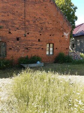 Foto - Einfamilienhaus zum Kaufen in Doberlug-Kirchhain