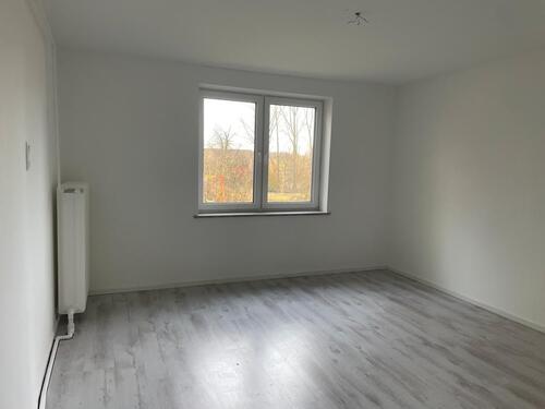 Foto - 3 Zimmer Erdgeschoßwohnung zur Miete in Kasseedorf